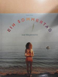 Joel Meyerowitz - Ein Sommertag [antikvár]
