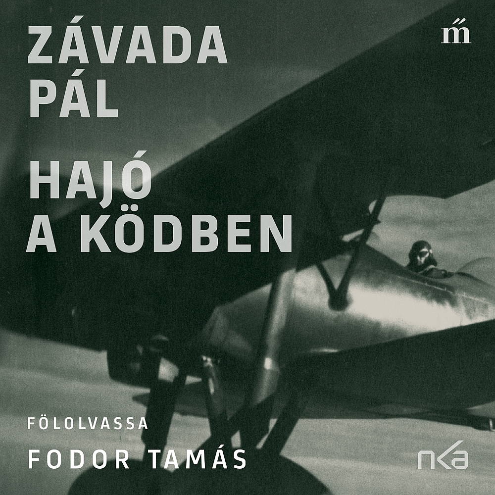 ZÁVADA PÁL - Hajó a ködben [eHangoskönyv]