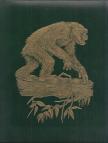 Jane Goodall, Michael Nichols, George B. Schaller, Mary G. Smith - The Great Apes: Between two worlds [antikvár]