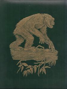 Jane Goodall, Michael Nichols, George B. Schaller, Mary G. Smith - The Great Apes: Between two worlds [antikvár]