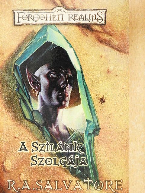 R. A. Salvatore - A szilánk szolgája [antikvár]
