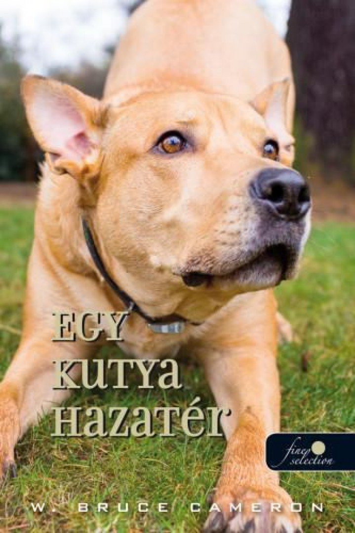 W. Bruce Cameron - Egy kutya hazatér [antikvár]