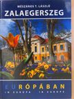 Dr. Gyimesi Endre - Zalaegerszeg Európában [antikvár]