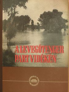 Aujeszky László - A levegőtenger partvidékén [antikvár]