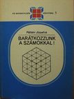 Pálfalvi Józsefné - Barátkozzunk a számokkal! [antikvár]