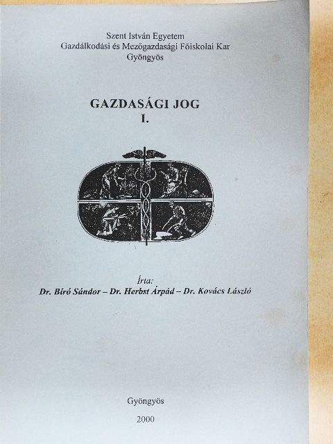 Dr. Bíró Sándor - Gazdasági jog I. [antikvár]