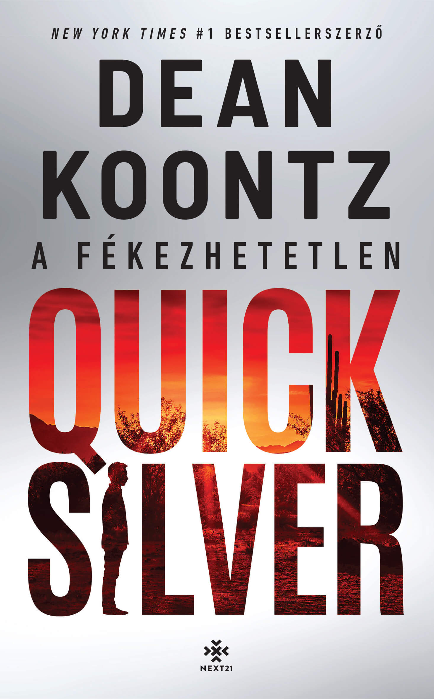 Dean R. Koontz - A fékezhetetlen Quicksilver [eKönyv: epub, mobi]