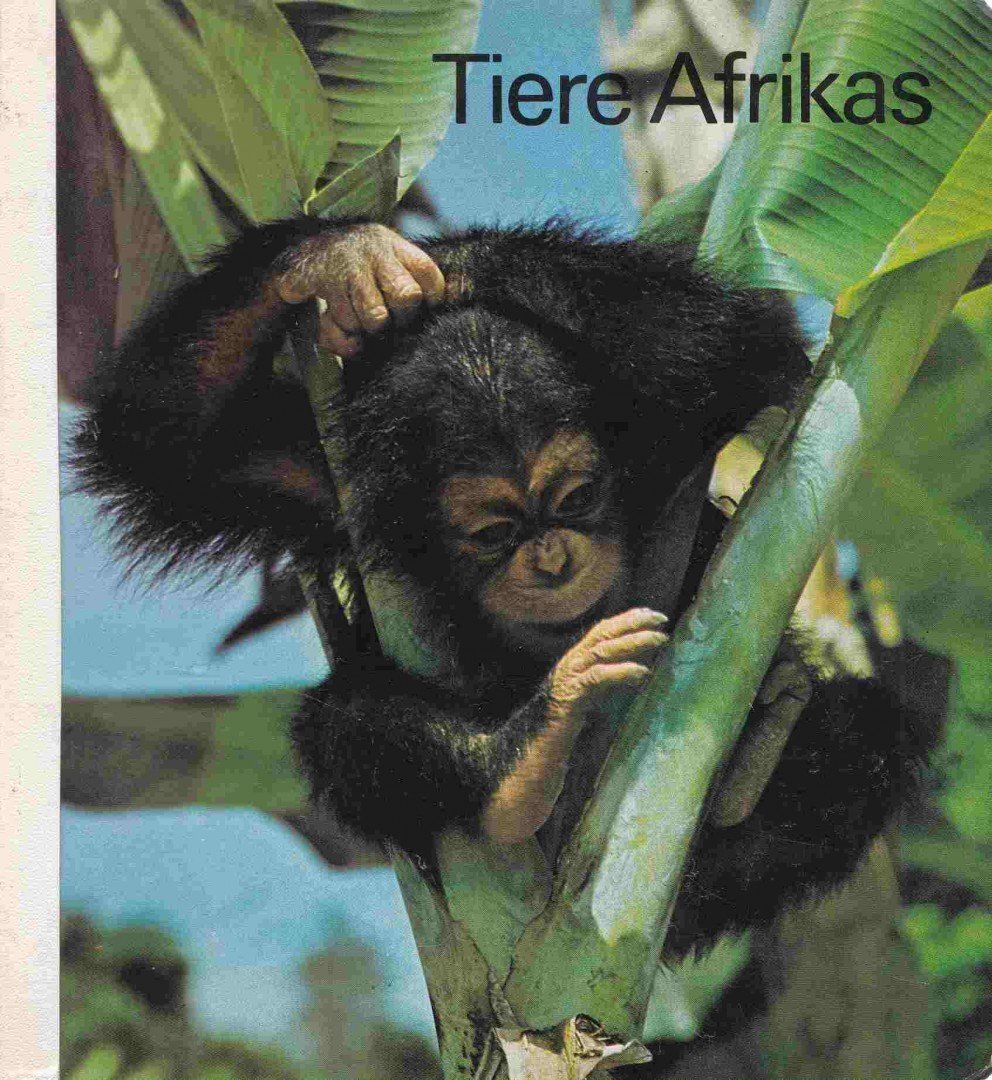 Harald Lange - Tiere Afrikas [antikvár]