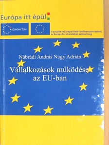 Bács Zoltán - Vállalkozások működése az EU-ban [antikvár]
