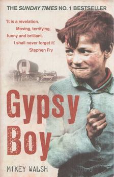 MIkey Walsh - Gypsy Boy [antikvár]