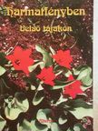 Ábrahám Erzsébet - Harmatfényben-belső tájakon [antikvár]