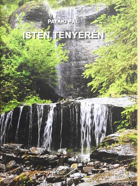Pataki Pál - Isten tenyerén [antikvár]