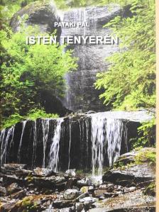 Pataki Pál - Isten tenyerén [antikvár]