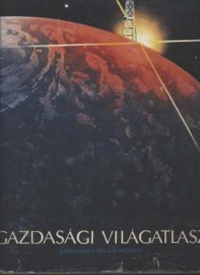 Ajtay Ágnes, Bíró Géza - Gazdasági világatlasz [antikvár]