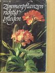 Hermann Holm - Zimmerpflanzen richtig pflegen [antikvár]