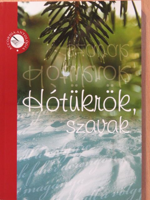 B. Zsoffay Klára - Hótükrök, szavak (dedikált példány) [antikvár]