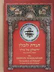 The Lublin Haggadah [antikvár]