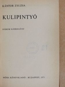 Kántor Zsuzsa - Kulipintyó [antikvár]