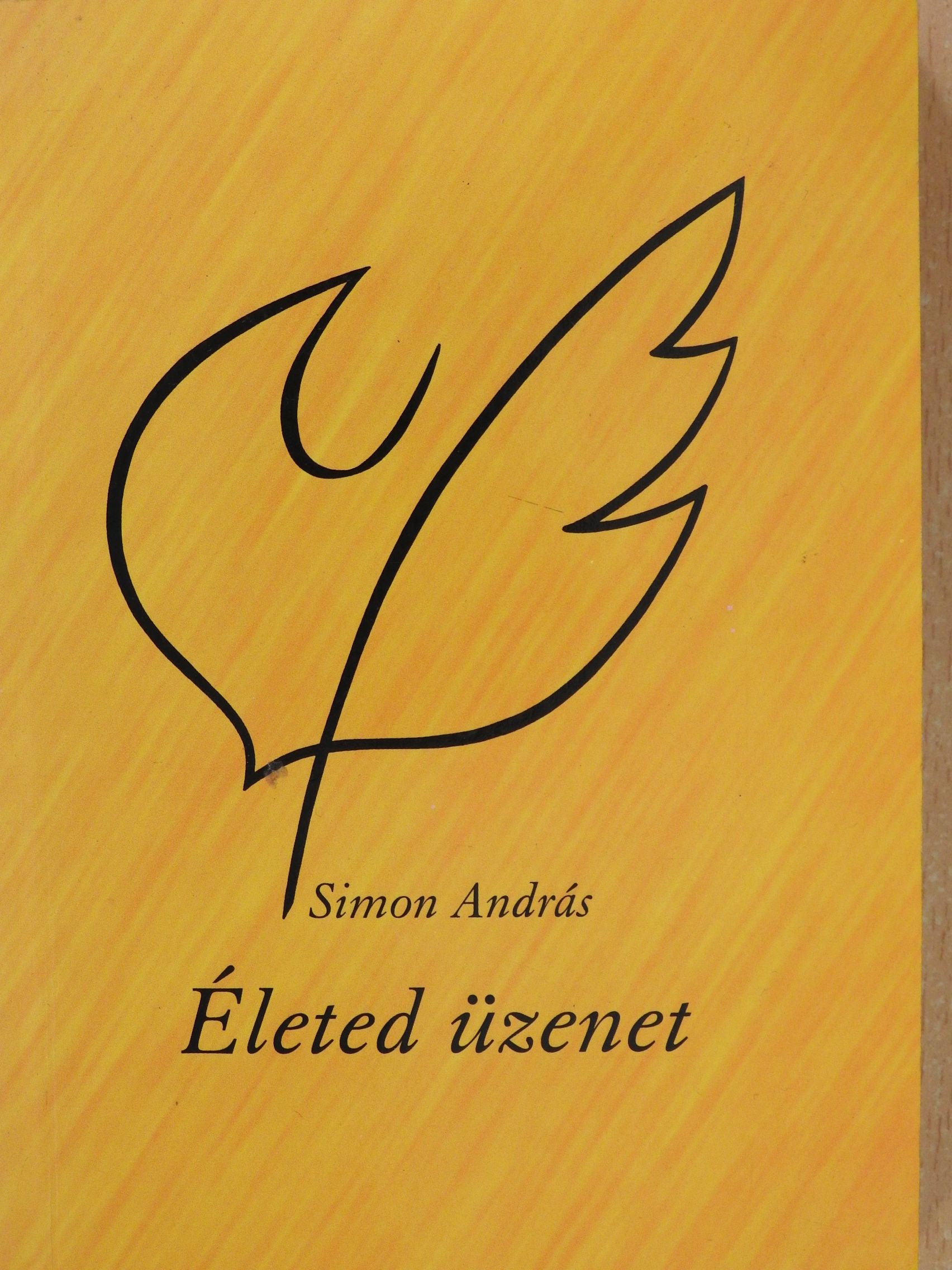 Simon András - Életed üzenet (aláírt példány) [antikvár]