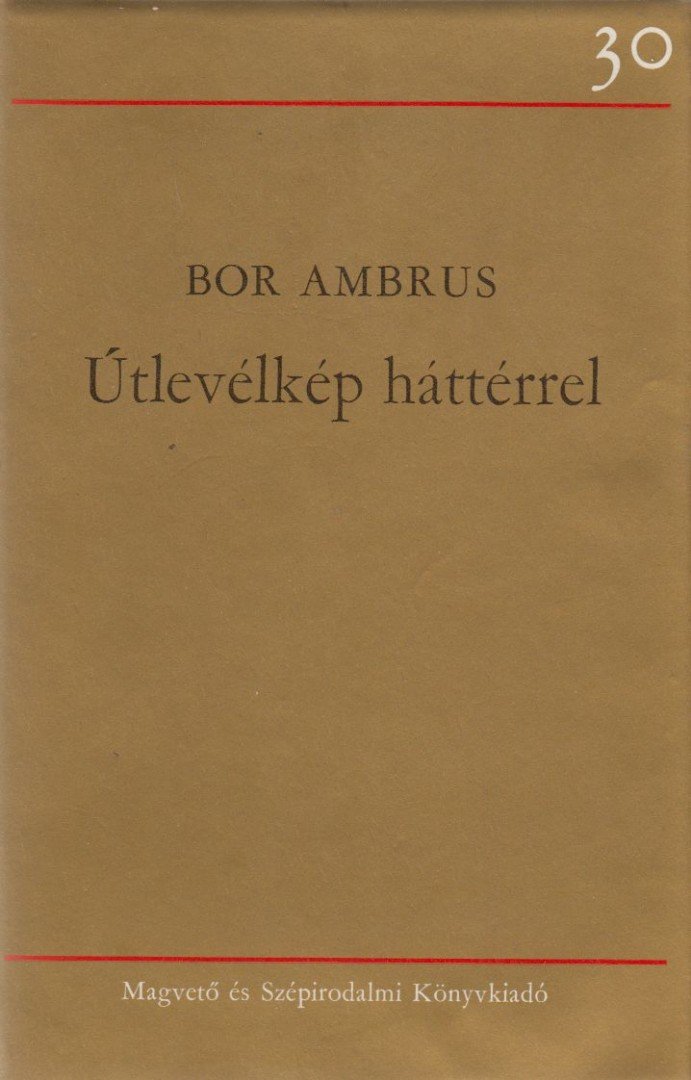 BOR AMBRUS - Útlevélkép háttérrel [antikvár]