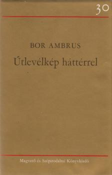 BOR AMBRUS - Útlevélkép háttérrel [antikvár]