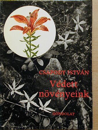 Csapody István - Védett növényeink [antikvár]