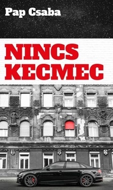 Pap Csaba - Nincs kecmec [eKönyv: epub, mobi]