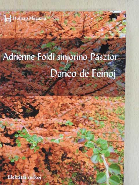Adrienne Földi sinjorino Pásztor - Danco de Feinoj [antikvár]
