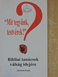 Sípos (S) Gyula - "Mit tegyünk, testvérek?" [antikvár]