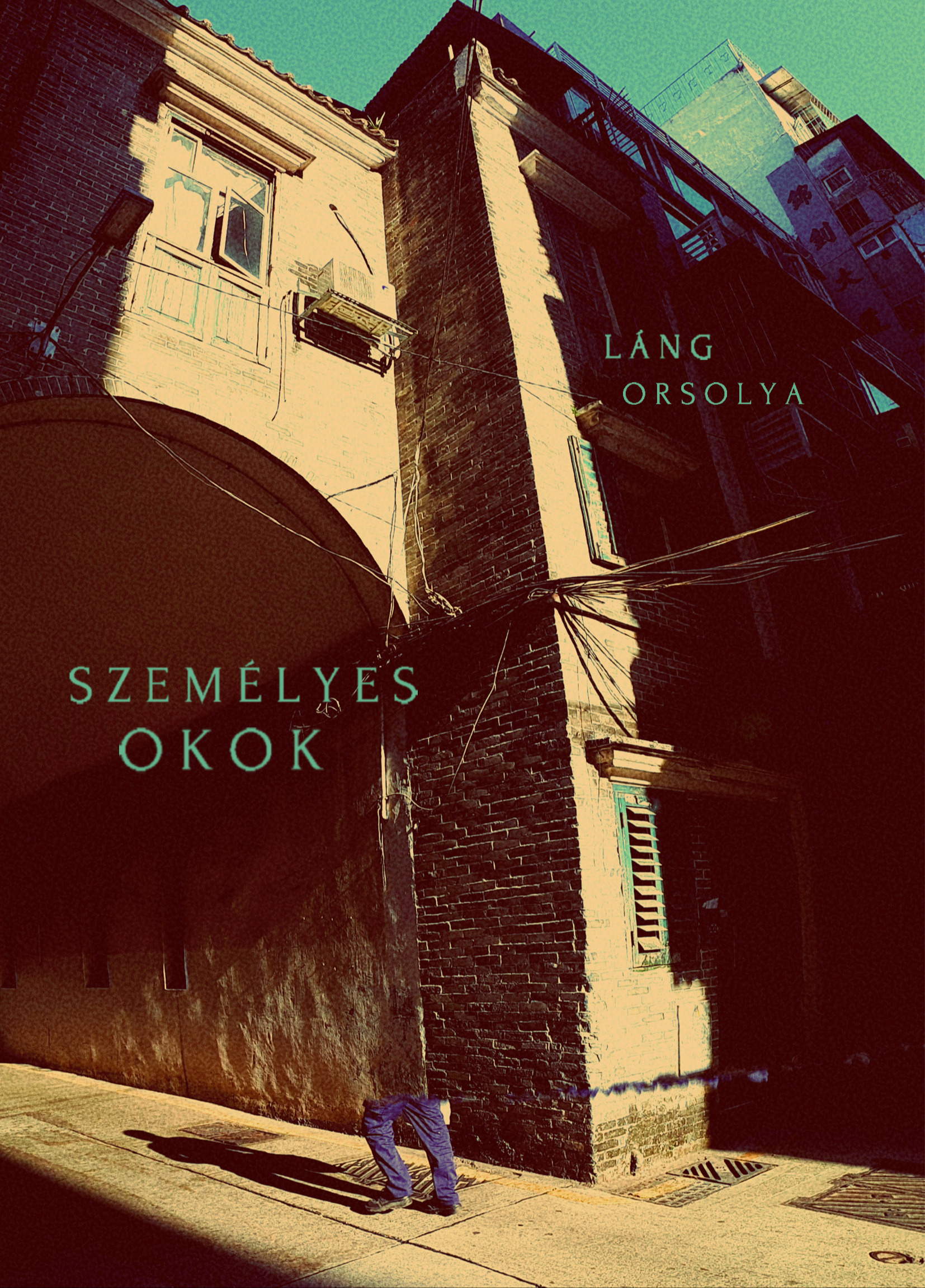 Láng Orsolya - Személyes okok [eKönyv: epub, mobi]