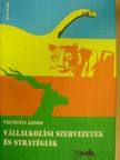 Vecsenyi János - Vállalkozási szervezetek és stratégiák [antikvár]