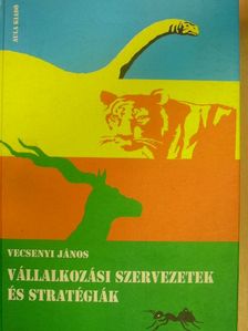 Vecsenyi János - Vállalkozási szervezetek és stratégiák [antikvár]