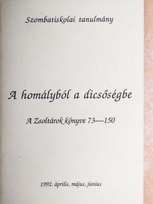 A homályból a dicsőségbe [antikvár]