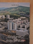 Györffy Dezső - Salgótarján, ahogy én látom [antikvár]