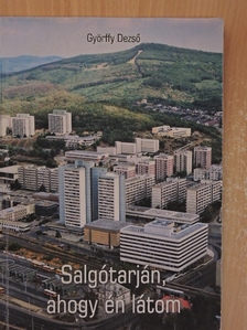 Györffy Dezső - Salgótarján, ahogy én látom [antikvár]