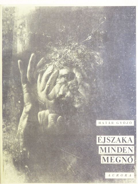 Határ Győző - Éjszaka minden megnő [antikvár]
