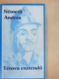 Németh András - Tétova esztendő [antikvár]