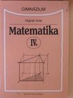 Hajnal Imre - Matematika IV. [antikvár]