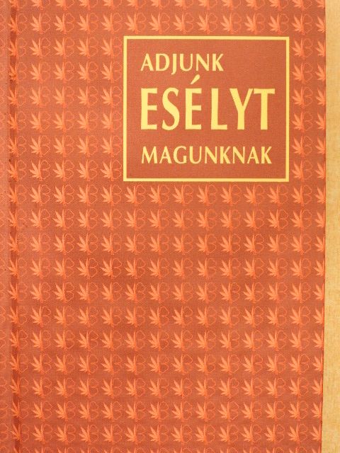 Dr. Szilágyi Zsuzsanna - Adjunk esélyt magunknak [antikvár]