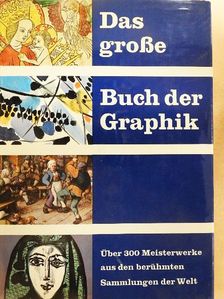 Alice Strobl - Das grosse Buch der Graphik [antikvár]
