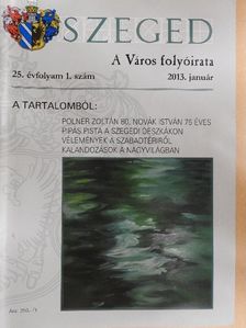 Arany Mihály - Szeged 2013. január [antikvár]
