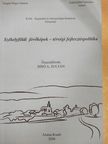 Borboly Csaba - Székelyföldi jövőképek - térségi fejlesztéspolitika [antikvár]