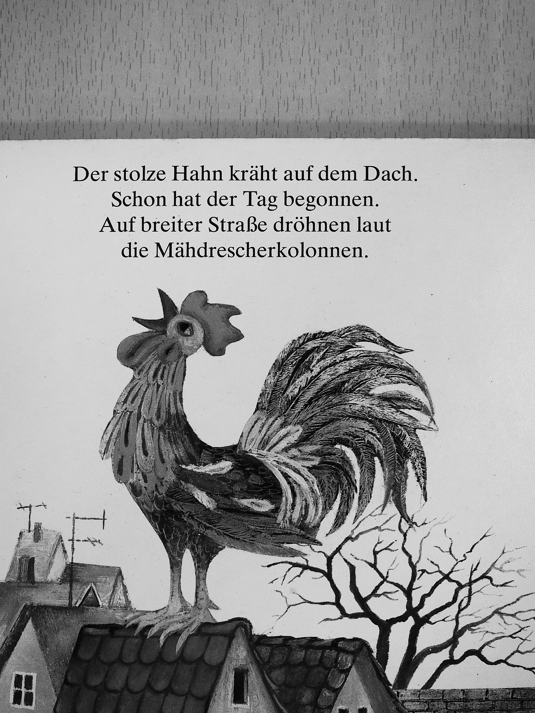 Dieter Niebuhr - Zwischen Hahnenschrei und Frühstücksei [antikvár]