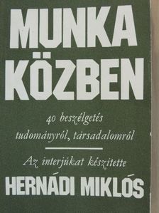 Hernádi Miklós - Munka közben [antikvár]