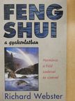Richard Webster - Feng shui a gyakorlatban [antikvár]