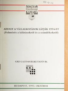 Dr. Belyó Pál - Ahogy a vállalkozások látják 1994-et [antikvár]