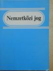 Bokorné Dr. Szegő Hanna - Nemzetközi jog [antikvár]