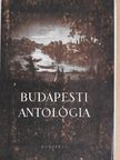 Ady Endre - Budapesti antológia [antikvár]