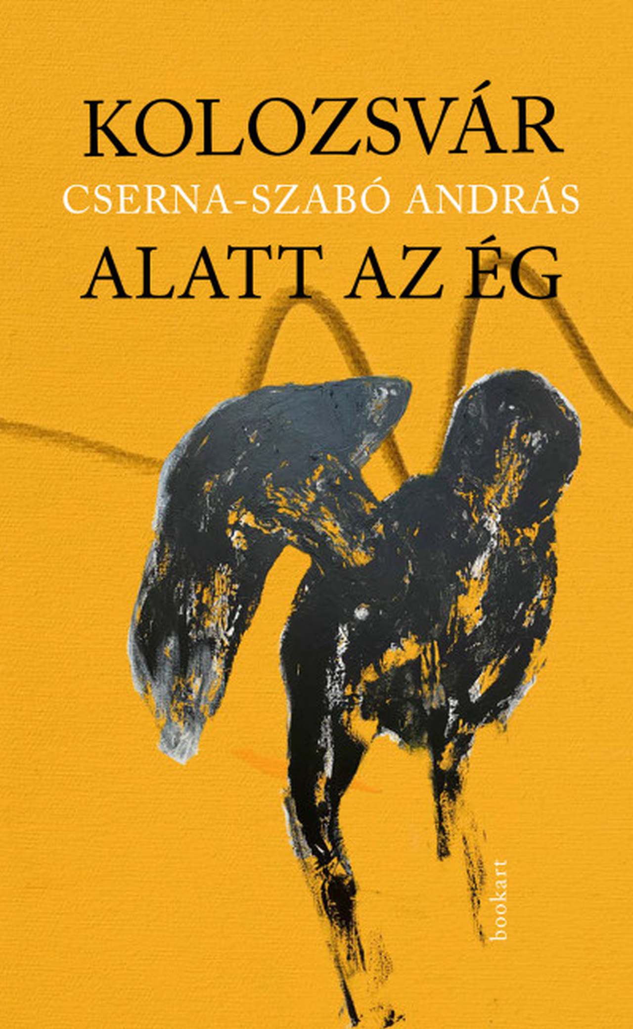 Cserna-Szabó András - Kolozsvár alatt az ég