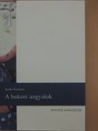 Jesús Ferrero - A bukott angyalok [antikvár]
